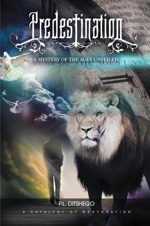 Cover image for book Predestination