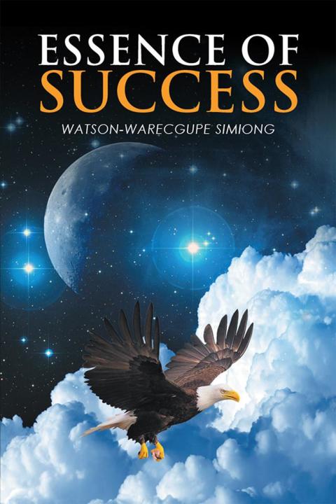 Cover image for book Essence of Success