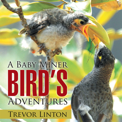 Cover image for book A Baby Miner Bird’S Adventures
