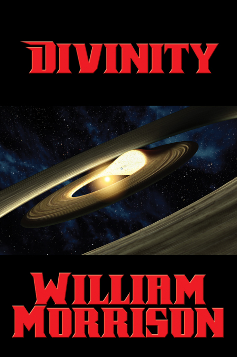 Cover image for book Divinity