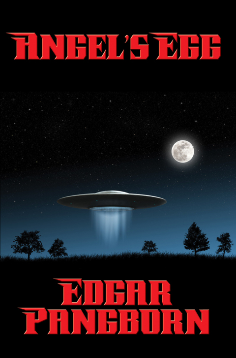 Cover image for book Angel’s Egg