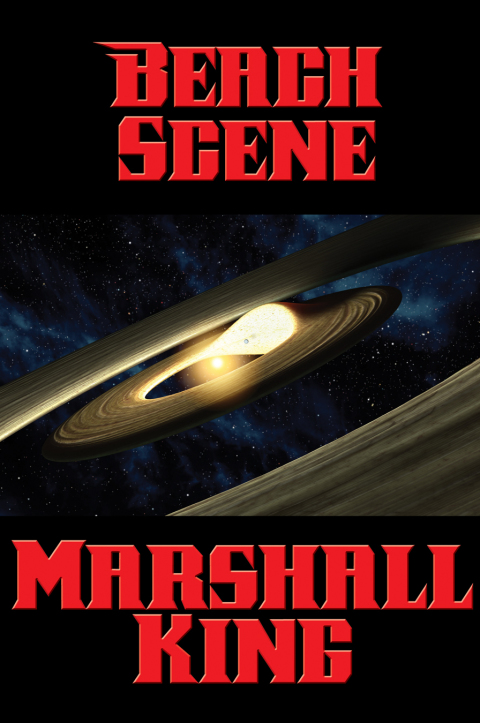 Cover image for book Beach Scene