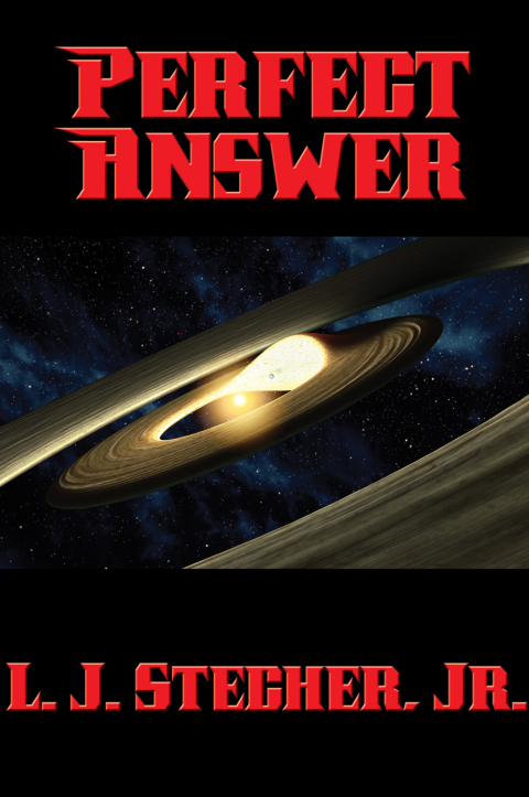 Cover image for book Perfect Answer