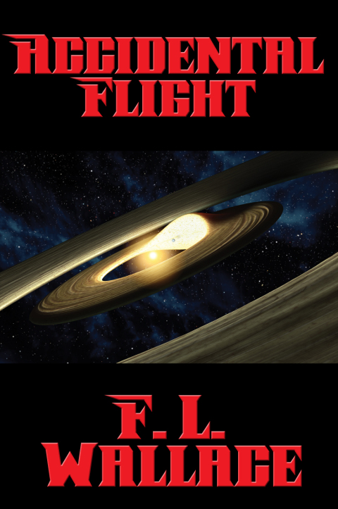 Cover image for book Accidental Flight