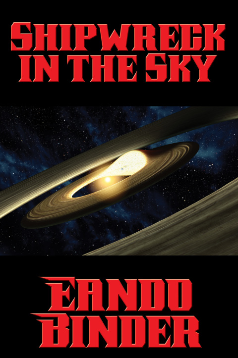 Cover image for book Shipwreck in the Sky