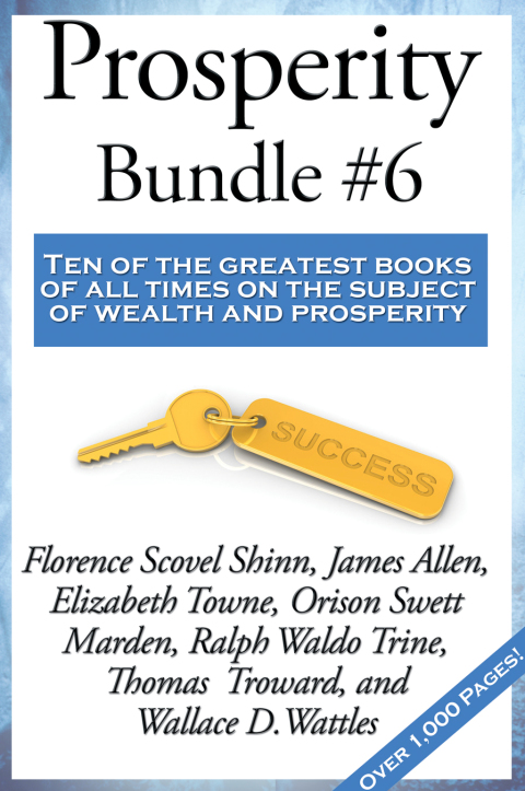 Prosperity Bundle #6 