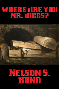 Omslagafbeelding: Where Are You Mr. Biggs? 9781515411239