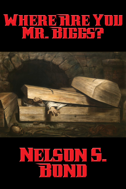 Cover image for book Where Are You Mr. Biggs?