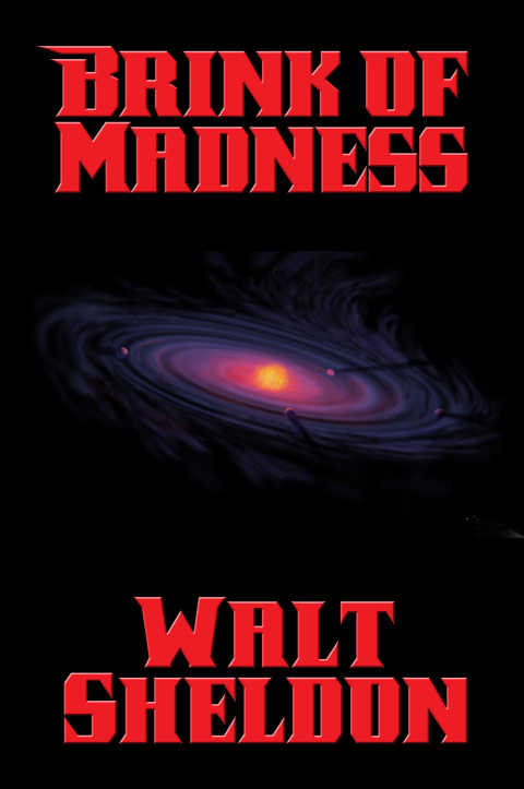 Cover image for book Brink of Madness