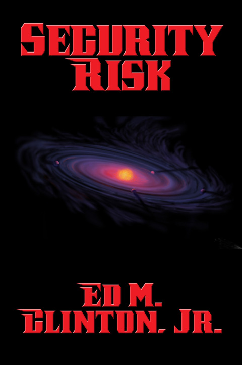 Cover image for book Security Risk