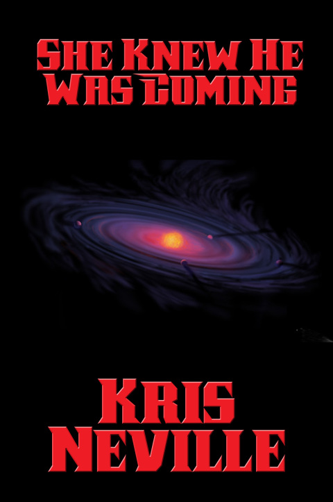 Cover image for book She Knew He Was Coming