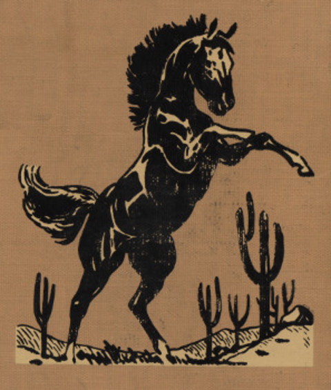 Cover image for book The Illustrated Wishing Horse of Oz