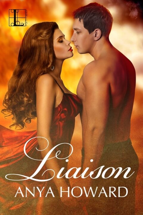 Cover image for book Liaison