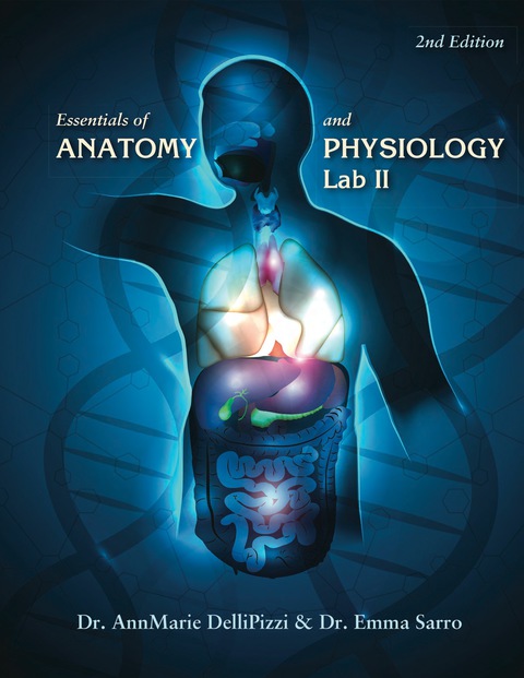 Cover image for book Essentials of Anatomy and Physiology Lab II