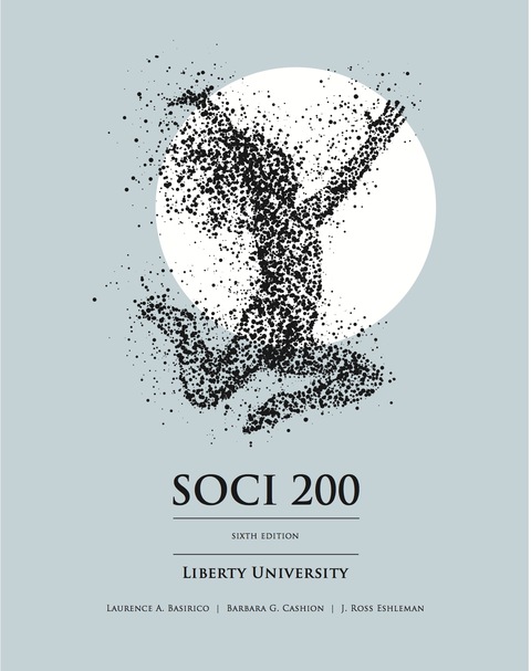 Cover image for book SOCI 200