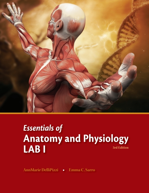 Cover image for book Essentials of Anatomy and Physiology Lab I