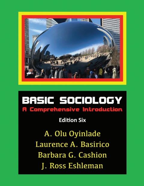 Cover image for book Basic Sociology: A Comprehensive Introduction