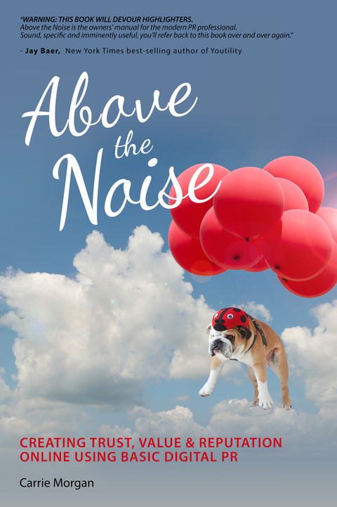 Cover image for book Above the Noise