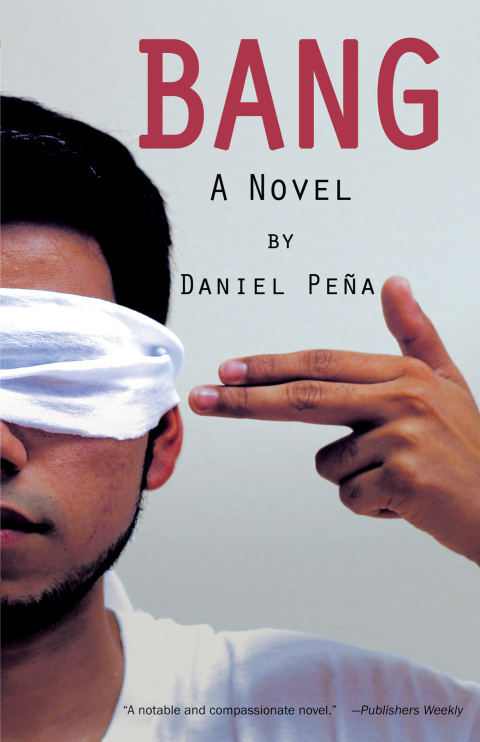 Cover image for book Bang: A Novel