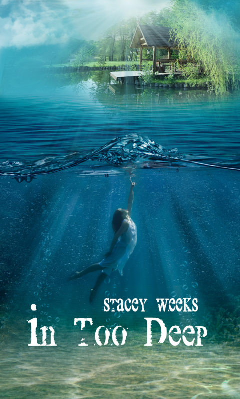 Cover image for book In Too Deep