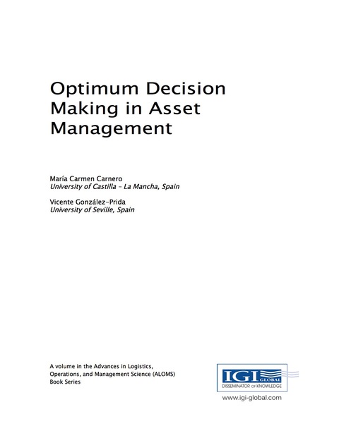 Cover image for book Optimum Decision Making in Asset Management