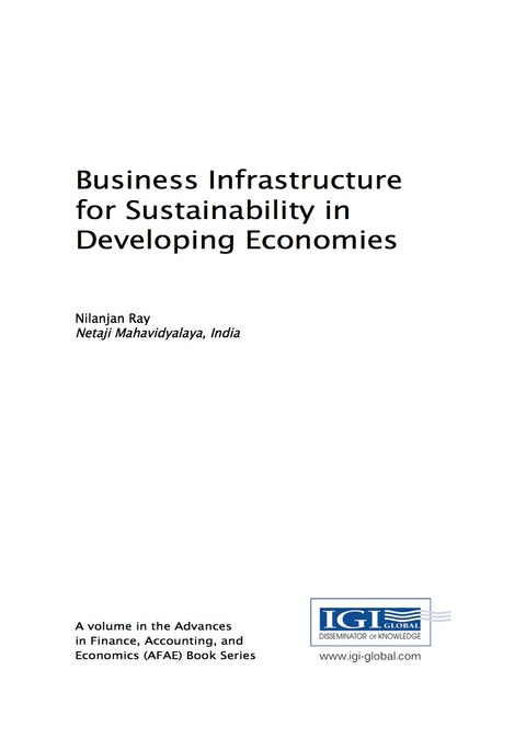 Cover image for book Business Infrastructure for Sustainability in Developing Economies