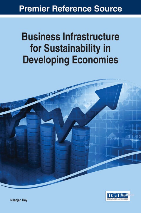 Cover image for book Business Infrastructure for Sustainability in Developing Economies