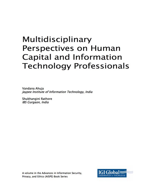 Cover image for book Multidisciplinary Perspectives on Human Capital and Information Technology Professionals