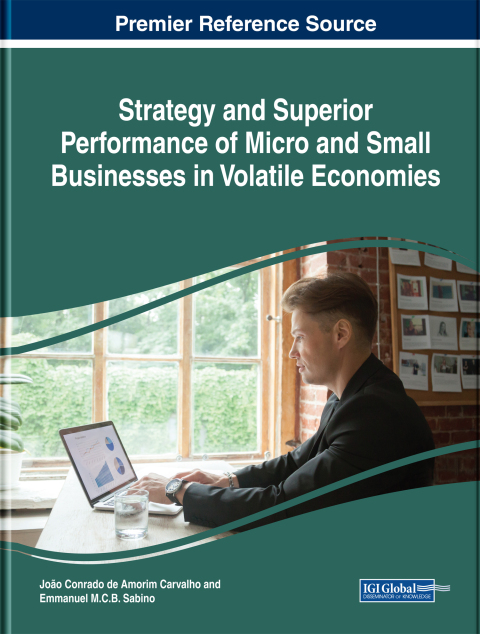 Cover image for book Strategy and Superior Performance of Micro and Small Businesses in Volatile Economies