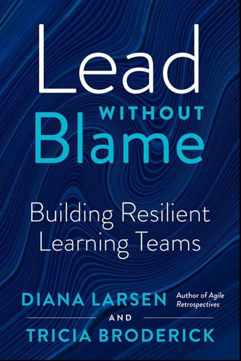 Cover image for book Lead Without Blame