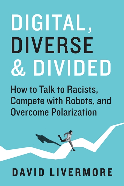Cover image for book Digital, Diverse&nbsp;&&nbsp;Divided