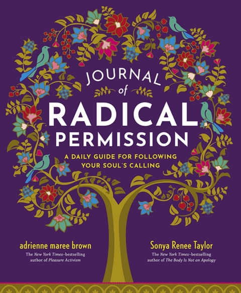 Cover image for book Journal of Radical Permission
