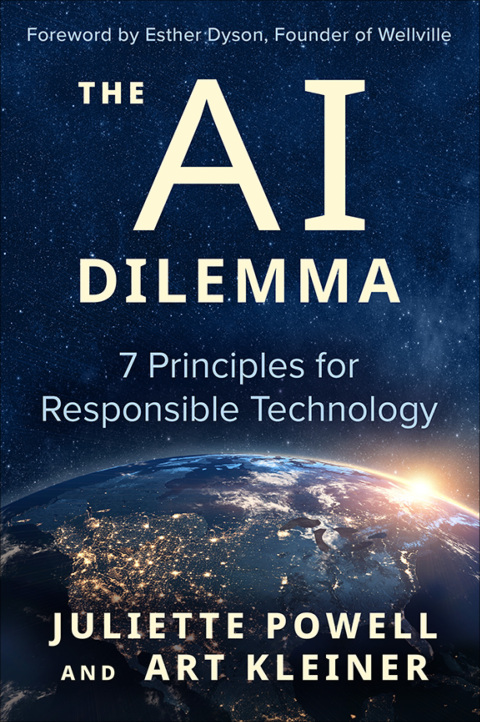 Cover image for book The AI Dilemma