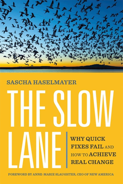 Cover image for book The Slow Lane