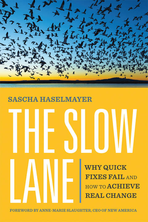 Cover image for book The Slow Lane
