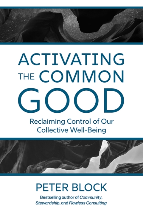 Cover image for book Activating the Common Good