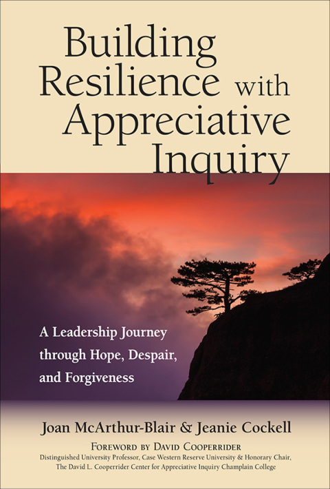 Cover image for book Building Resilience with Appreciative Inquiry