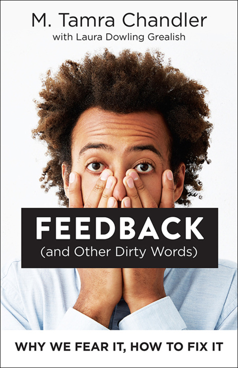 Cover image for book Feedback (and Other Dirty Words)