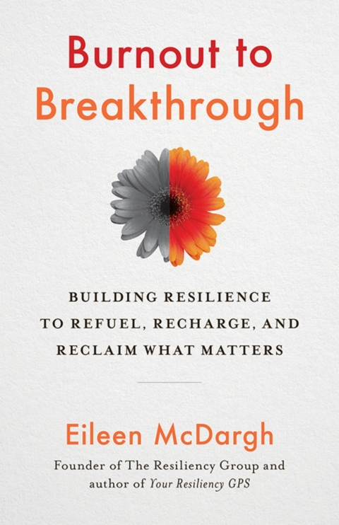 Cover image for book Burnout to Breakthrough