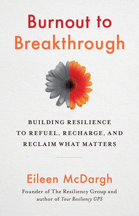 Cover image for book Burnout to Breakthrough