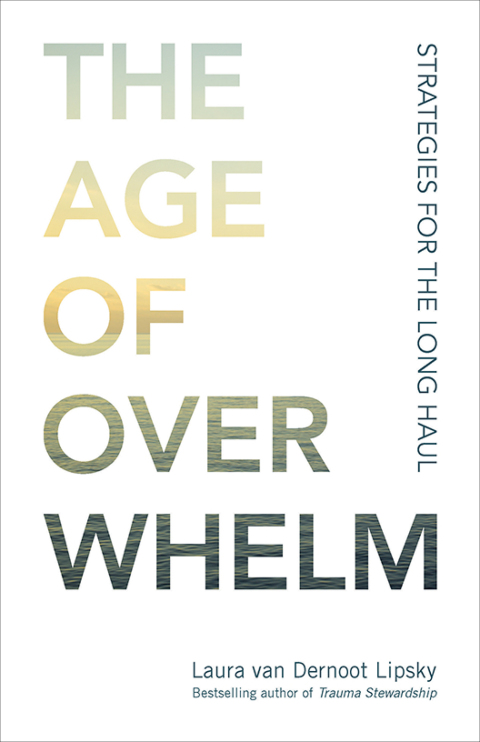Cover image for book The Age of Overwhelm