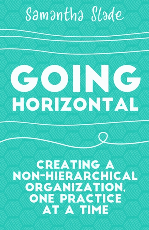 Cover image for book Going Horizontal