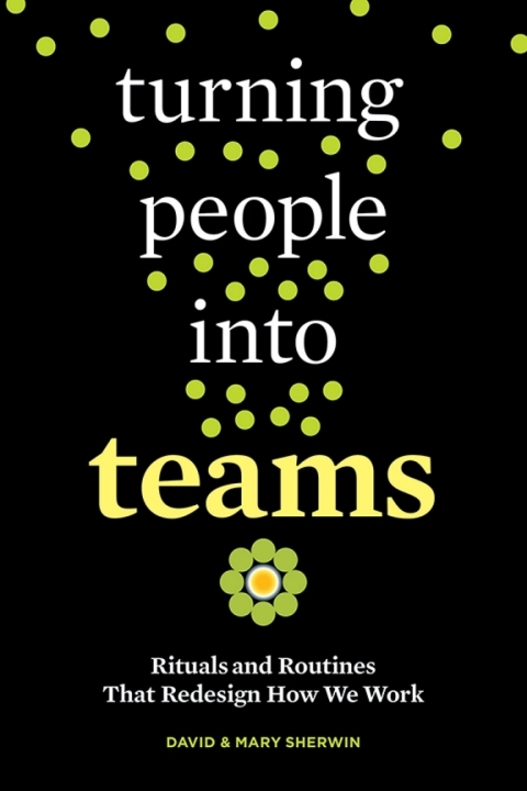 Cover image for book Turning People into Teams