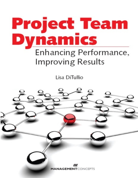 Cover image for book Project Team Dynamics