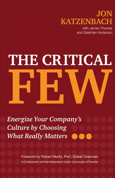 Cover image for book The Critical Few