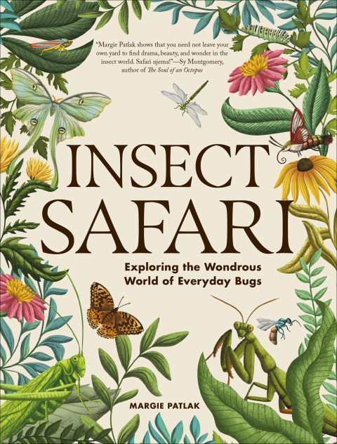 Cover image for book Insect Safari
