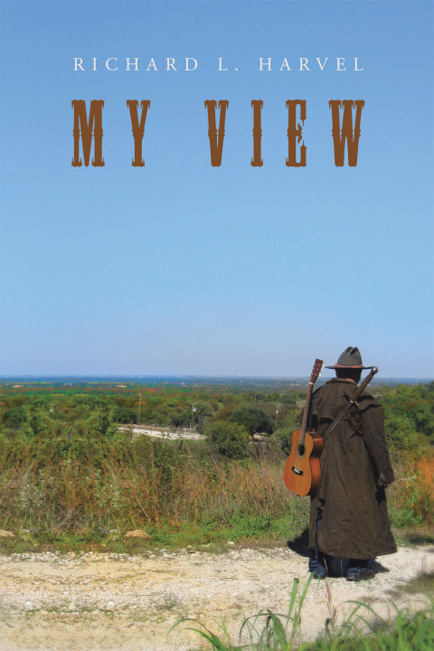 Cover image for book My View