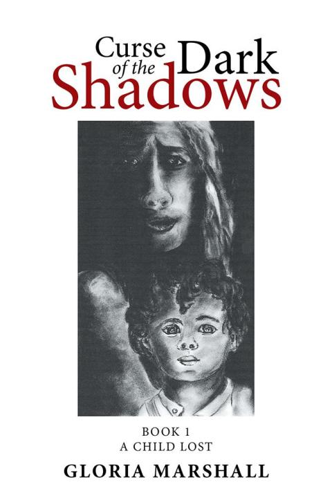 Cover image for book Curse of the Dark Shadows