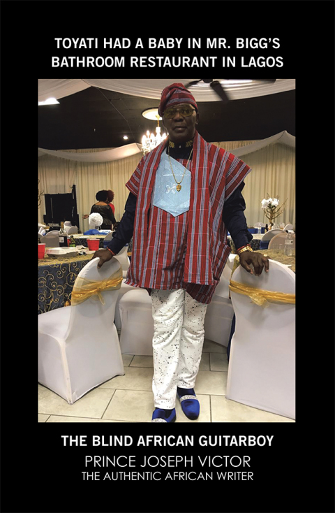 Cover image for book Toyati Had a Baby in Mr. Bigg’s Bathroom Restaurant in Lagos