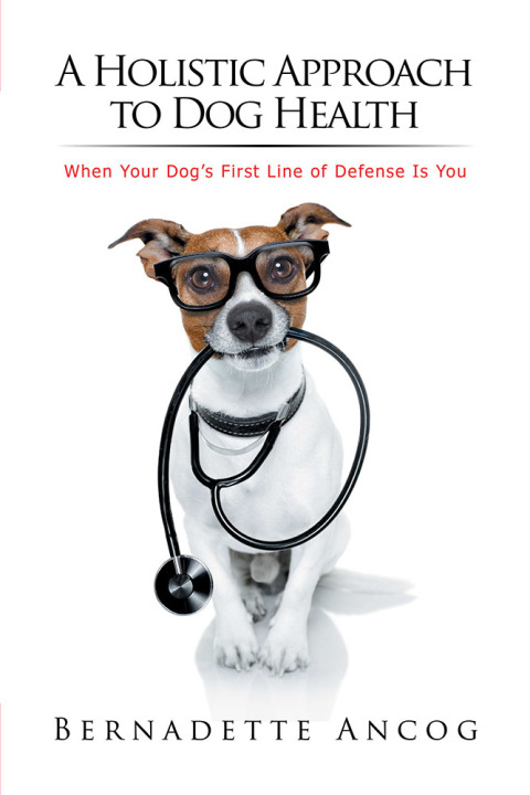Cover image for book A Holistic Approach to Dog Health